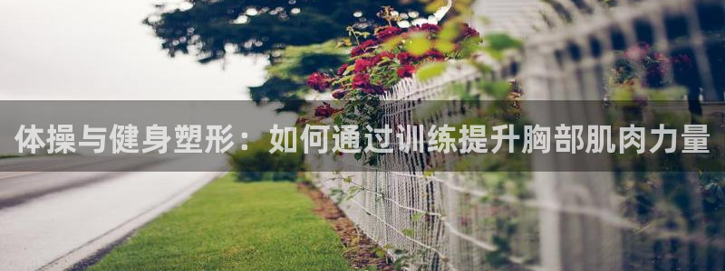 678体育app：体操与健身塑形：如何通过训练提升胸部肌肉力量