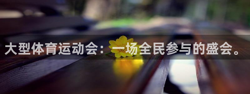 678体育官网：大型体育运动会：一场全民参与的盛会。
