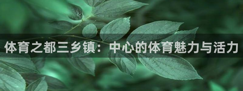 678体育app：体育之都三乡镇：中心的体育魅力与活力