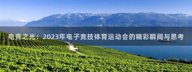 678体育官网下载：电竞之光：2023年电子竞技体育运动会的精彩瞬间与思考