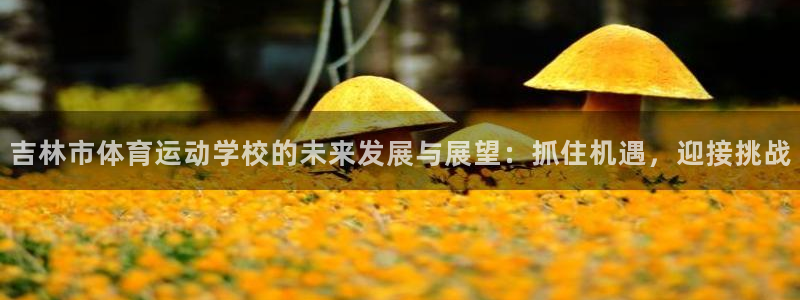 678体育app：吉林市体育运动学校的未来发展与展望：抓住机遇，迎接挑战