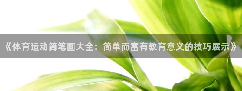 678体育官网地址：《体育运动简笔画大全：简单而富有教育意义的技巧展示》